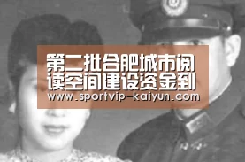 开云赛事