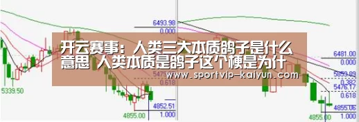 开云足球