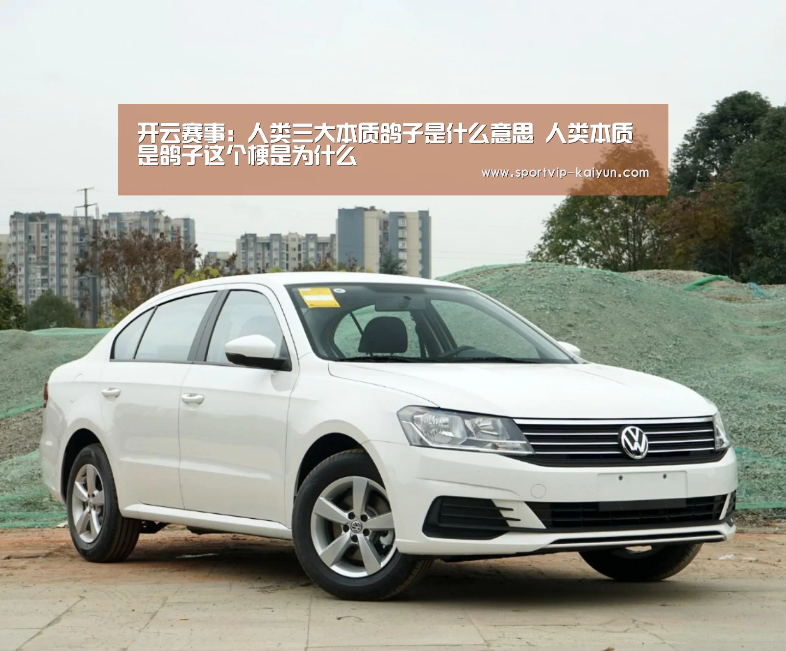 开云篮球