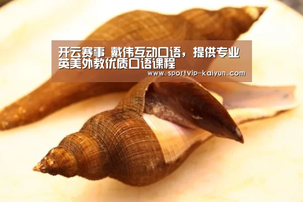 开云篮球