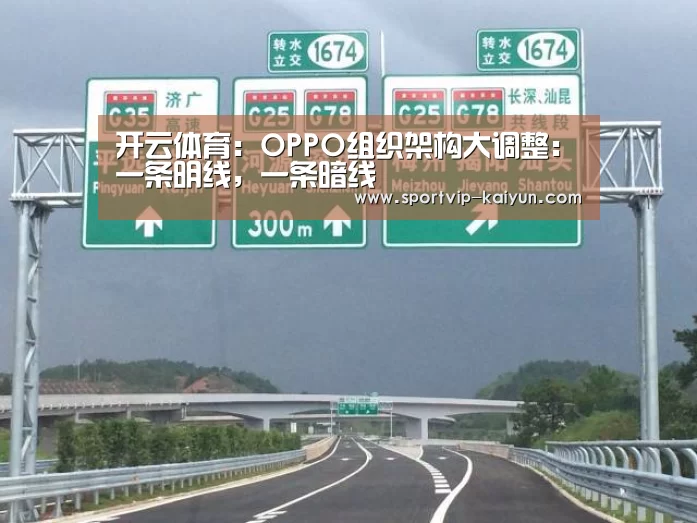 开云体育:OPPO组织架构大调整:一条明线,一条暗线(图4) 开云篮球