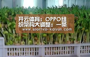 开云体育:OPPO组织架构大调整:一条明线,一条暗线(图2) 开云赛事