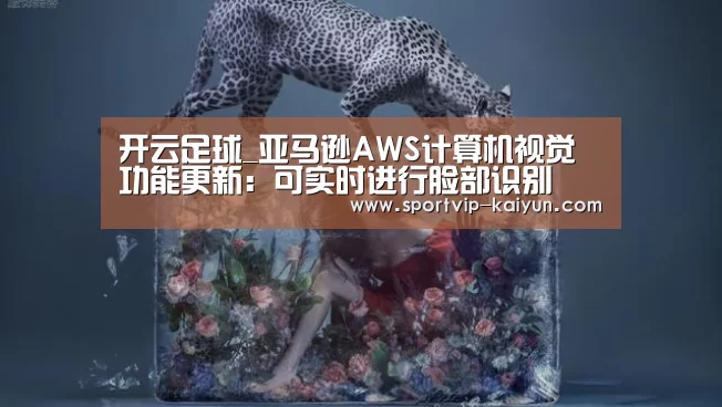 开云足球_亚马逊AWS计算机视觉功能更新:可实时进行脸部识别(图2) 开云体育
