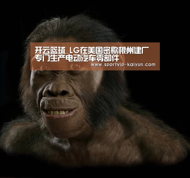 开云篮球_LG在美国密歇根州建厂专门生产电动汽车零部件(图1) 开云赛事